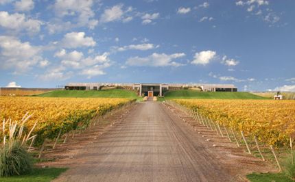 Bodega del Fin del Mundo compró NQN y refuerza su posición en la Patagonia