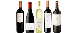 Novedades: Ocho etiquetas de vino que acaban de llegar al mercado