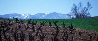 La Rioja: tradición y dinamismo de mercado