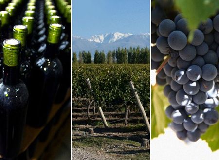 Luján de Cuyo versus Valle de Uco: las diferencias y el sello distintivo que le imprimen al Malbec