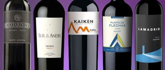 Vinos recomendados: cinco Malbec ideales para tener en casa y por menos de $65