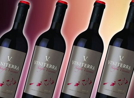 Viniterra lanza su nuevo vino tope de gama: un Malbec single vineyard con el sello de Agrelo