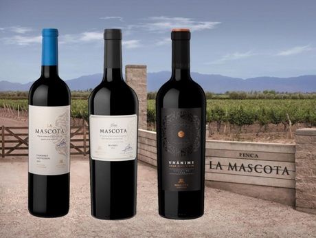 Nace Mascota Vineyards, la marca de vinos de autor de Rodolfo Sadler