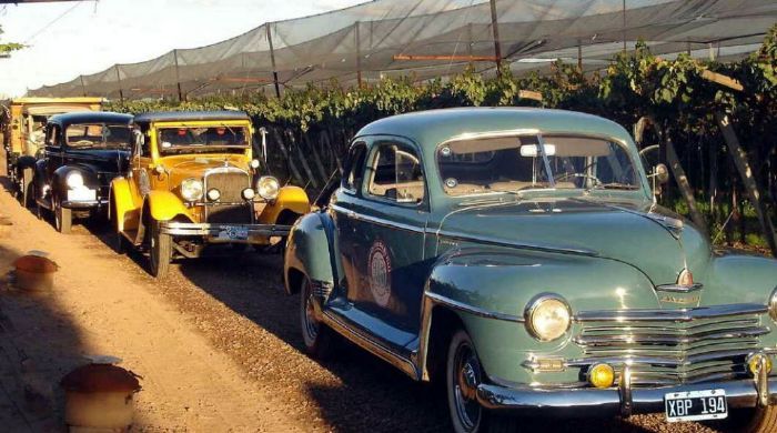 Mendoza en torno al vino