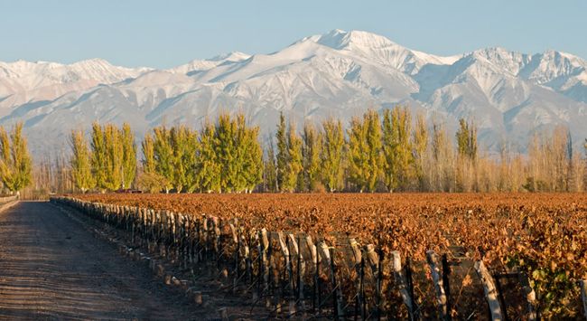 Mendoza, entre los siete destinos mundiales del vino