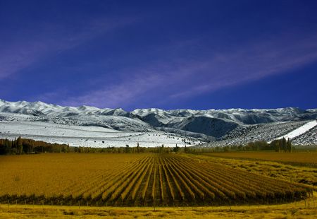 Mendoza, obra de la mano del hombre