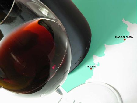 Nuevos terruños: el vino argentino crece hacia el Atlántico