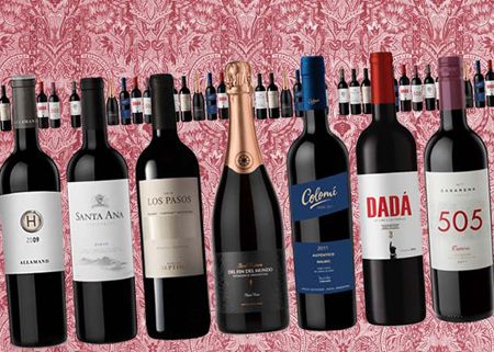 Nuevos vinos llegan a la góndola