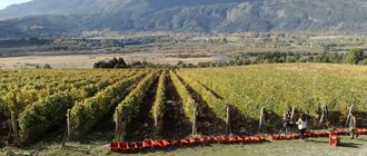 La nueva Patagonia vitivinícola: de Chubut a Santa Cruz