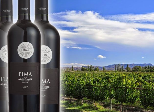 Conocé Pima, el pentavarietal de partida limitada que elabora Algodon Wine Estates