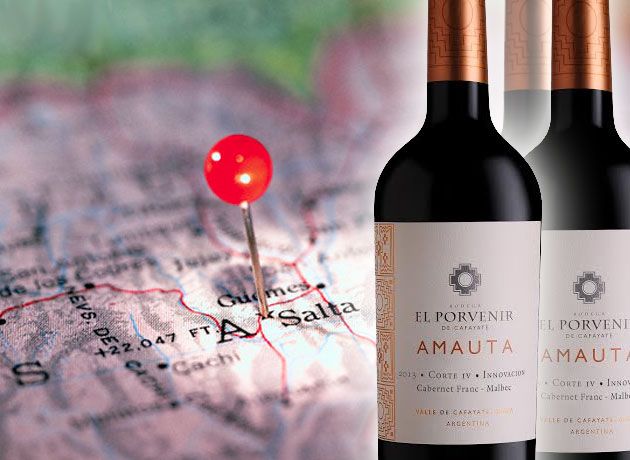 El Porvenir lanza su primera etiqueta con Cabernet Franc de la mano de un blend con chapa de best value