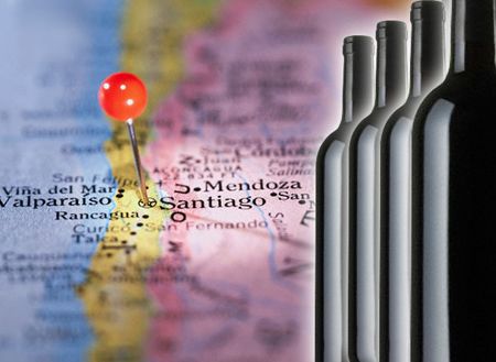 ¿Rivalidad por el Malbec?: en Chile aseguran tener viñedos antiguos y "excelentes vinos"