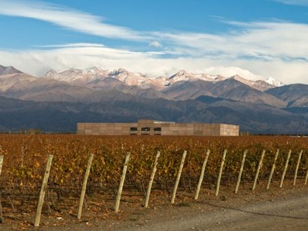 La Rural y Rutini: dos bodegas que supieron ser una