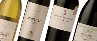 Los "secretos" detrás de 16 de los mejores vinos de exportación de la Argentina, según sus creadores