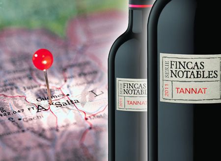 El Esteco amplió la línea Serie Fincas Notables de la mano de un Tannat con el sello de Cafayate