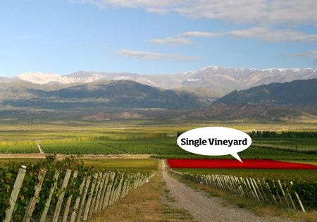 Los Single Vineyard ganan lugar en la góndola del vino argentino