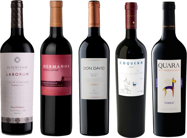 Tannat argentino: 5 etiquetas que tenés que probar