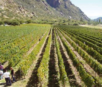 Terruño de la semana: un lugar único en el mundo