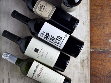 Vinos de Gualtallary: esto es lo que se elabora en el nuevo terruño top de Mendoza