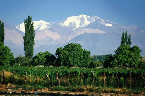 El vino argentino visto por Tim Atkin y Andrés Lavados