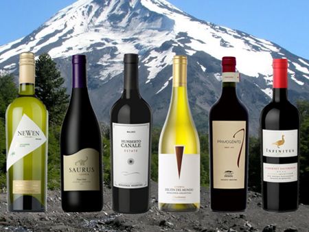 Vinos patagónicos: 6 etiquetas que definen a la región más dinámica del país