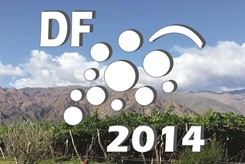 Desafío Federal 2014