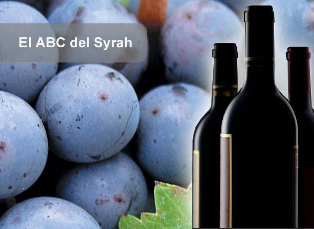 El ABC del Syrah: 10 claves para conocer mejor las cualidades de esta variedad