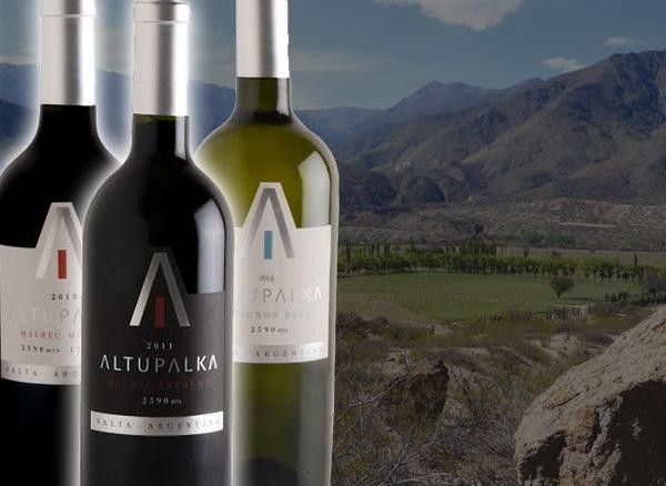 ¿Existen los “vinos extremos”?: Altupalka lo demuestra desde una altura a la que pocas bodegas llegaron