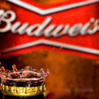 Budweiser