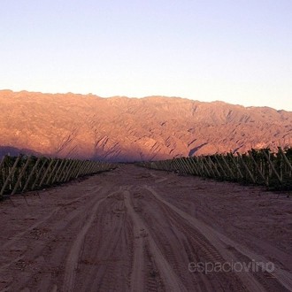 La Riojana