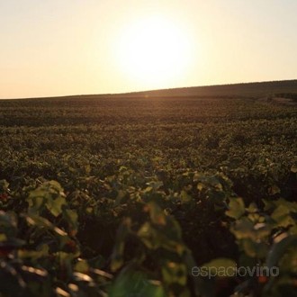 Louis Roederer