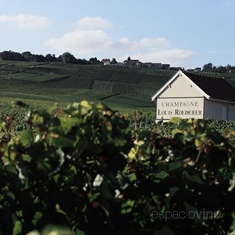 Louis Roederer