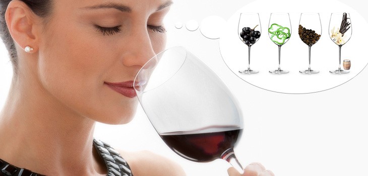 ¿Cuáles son los aromas típicos del Cabernet Sauvignon y cómo reconocerlos?