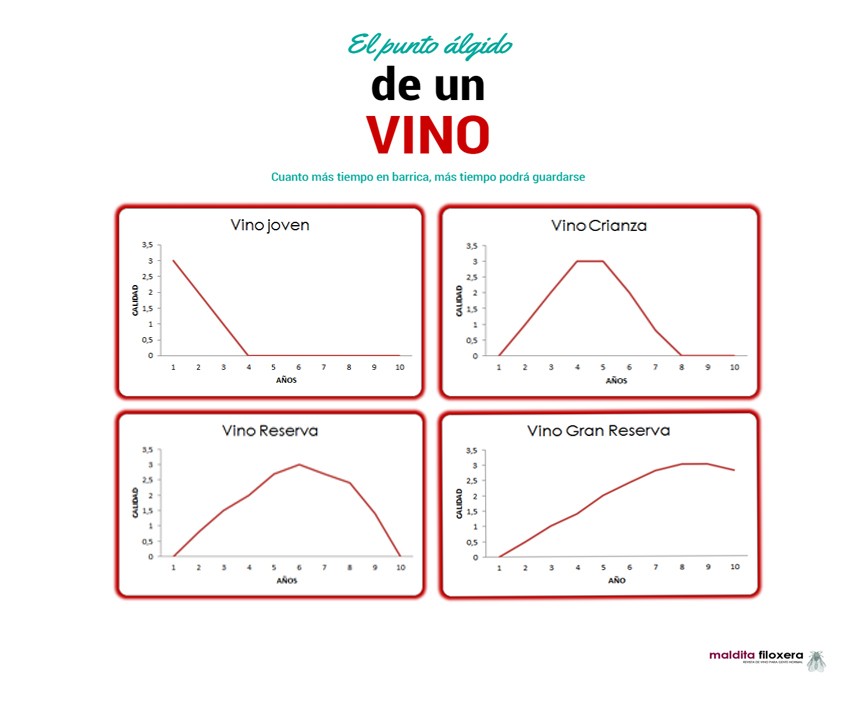 El ciclo de vida de los vinos