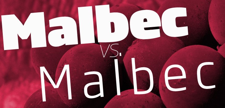 Malbec fluidos vs. mullidos: ¿cuál preferís?