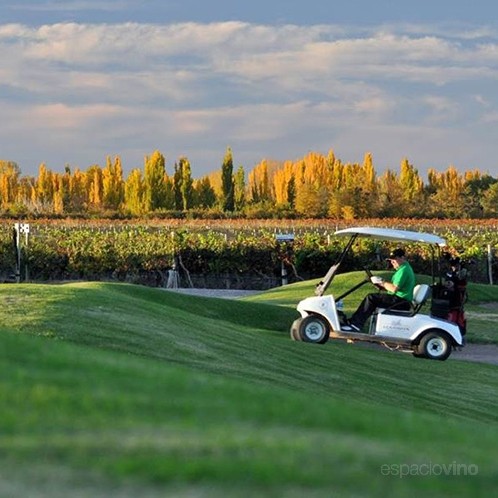 Algodon Wine Estates