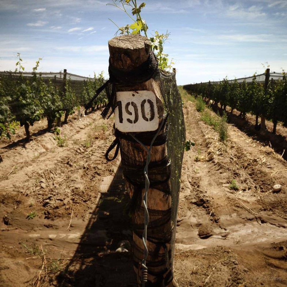 Familia Zuccardi