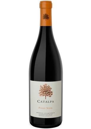 Catalpa Pinot Noir