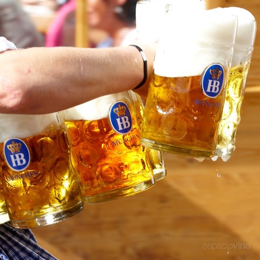 Hofbrau