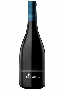 Octava Bassa Malbec