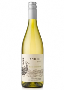 Aniello Blanco de Pinot Noir