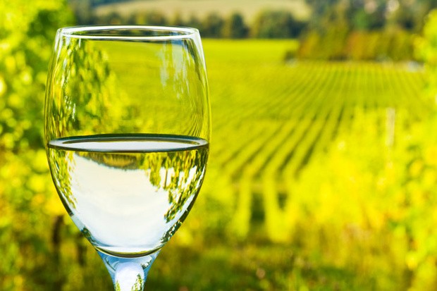 Update: siete grandes vinos blancos para quienes buscan etiquetas diferentes