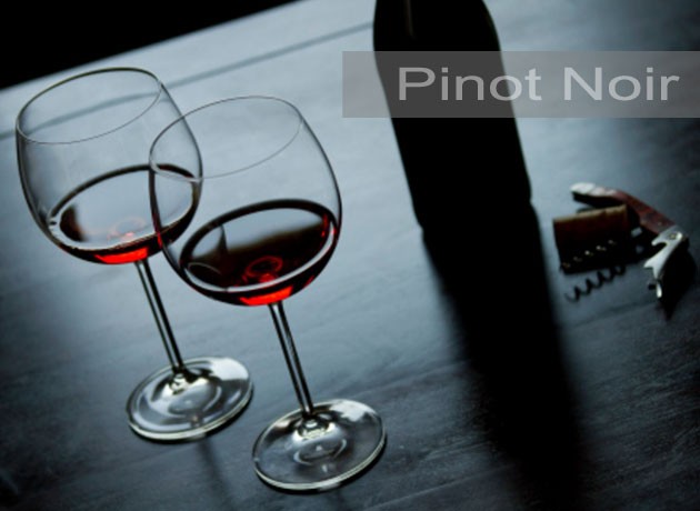 Vinos recomendados: cinco Pinot Noir que vale la pena descubrir