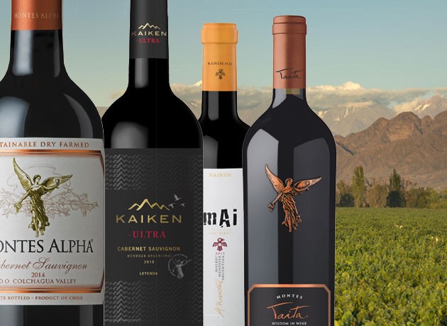 Diez vinos para entender las grandes diferencias entre la Argentina y Chile