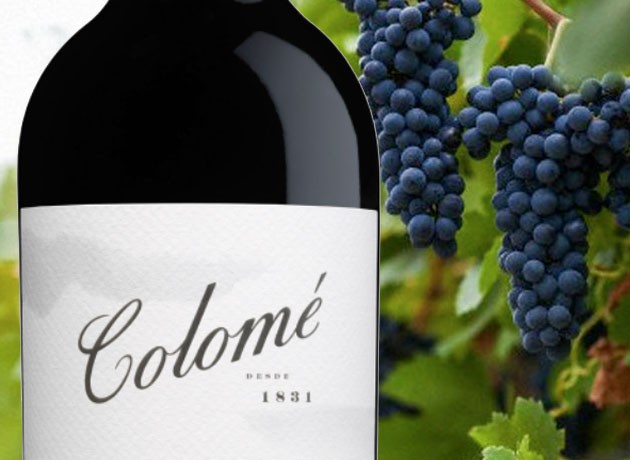 Descubrí cómo es la nueva imagen de los vinos de la bodega salteña Colomé