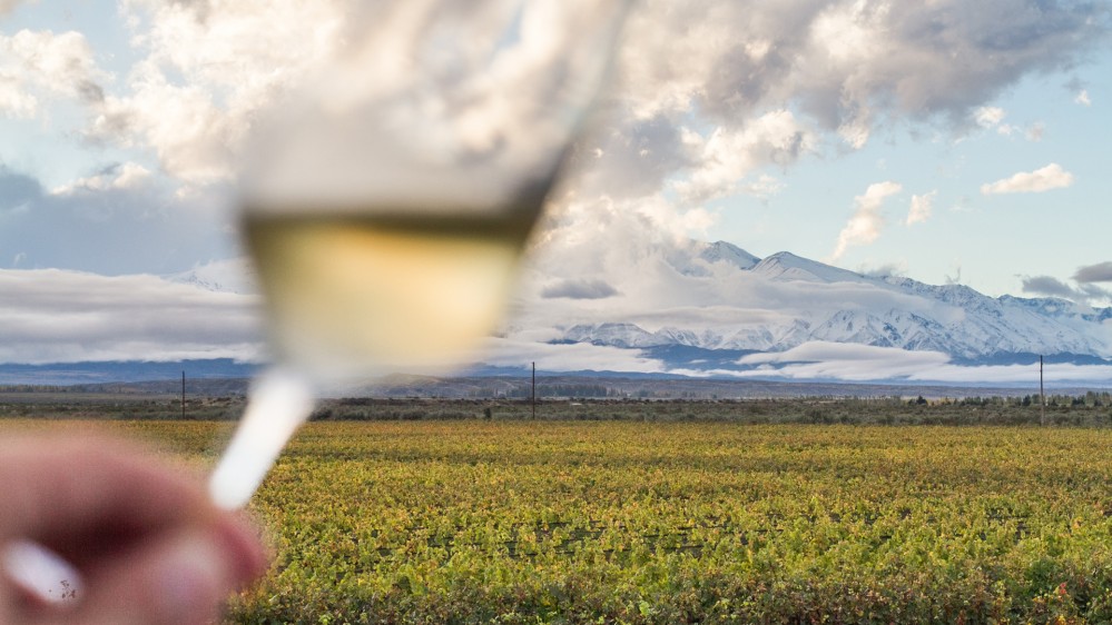 El Alto Valle de Río Negro tiene su ruta del vino: nueve bodegas que vale la pena descubrir