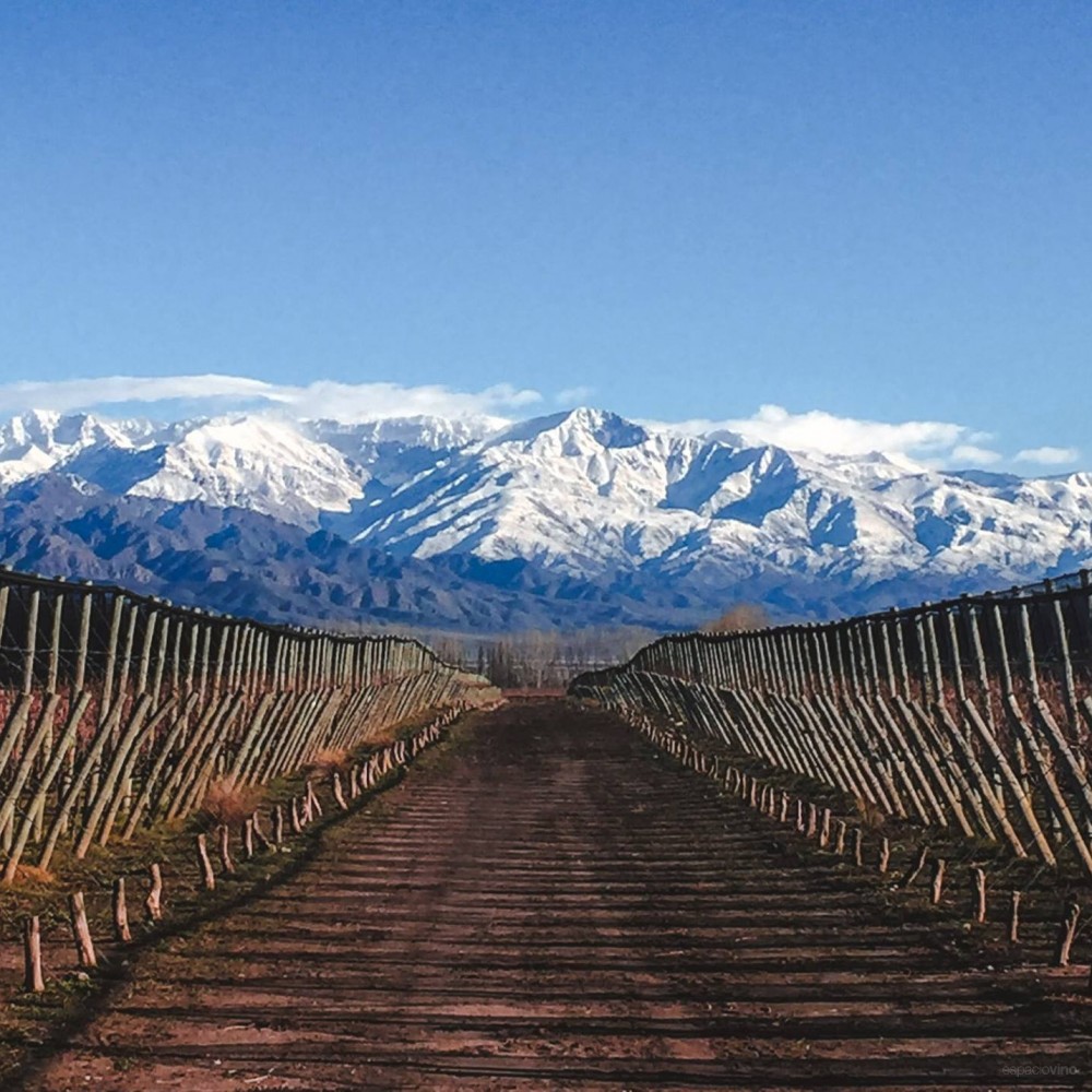 Terrazas de los Andes