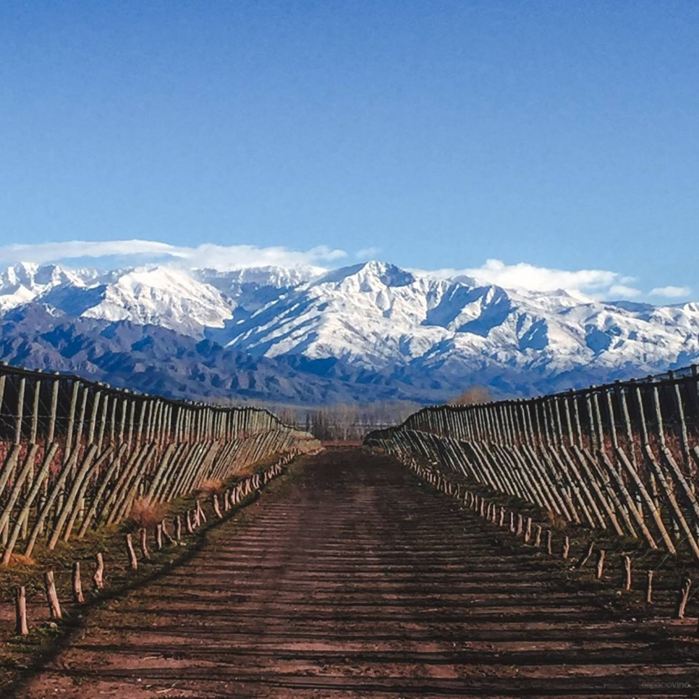 Terrazas de los Andes