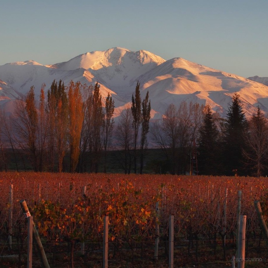 Terrazas de los Andes