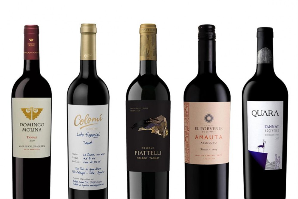 El futuro del Tannat está en Salta